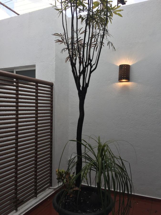 Residence Las Trojes Cdmx Mexiko-Stadt Exterior foto